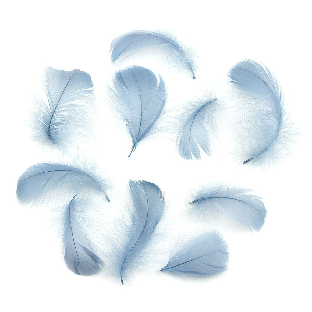 Country Blue Loose Goose Coquille Feathers 3-5 inch