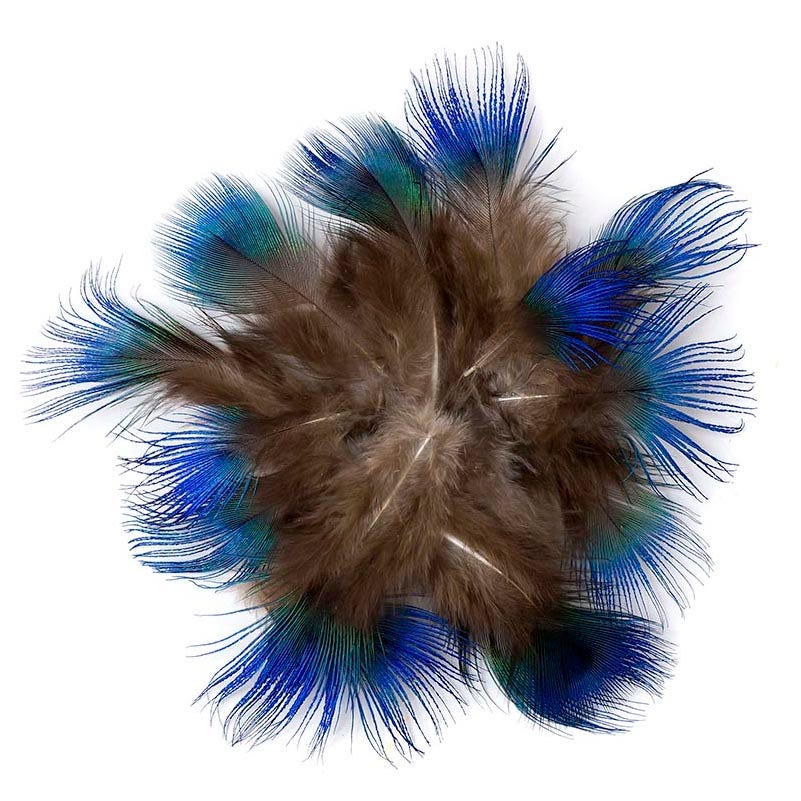 Peacock Feather Plumage-Blue [{WEDDING CENTERPIECES}] - Natural