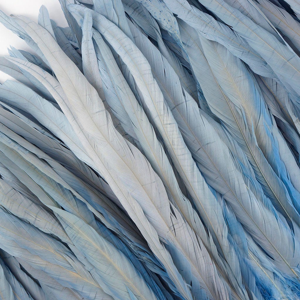 Rooster Coque Tails-Bleach-Dyed Light Blue