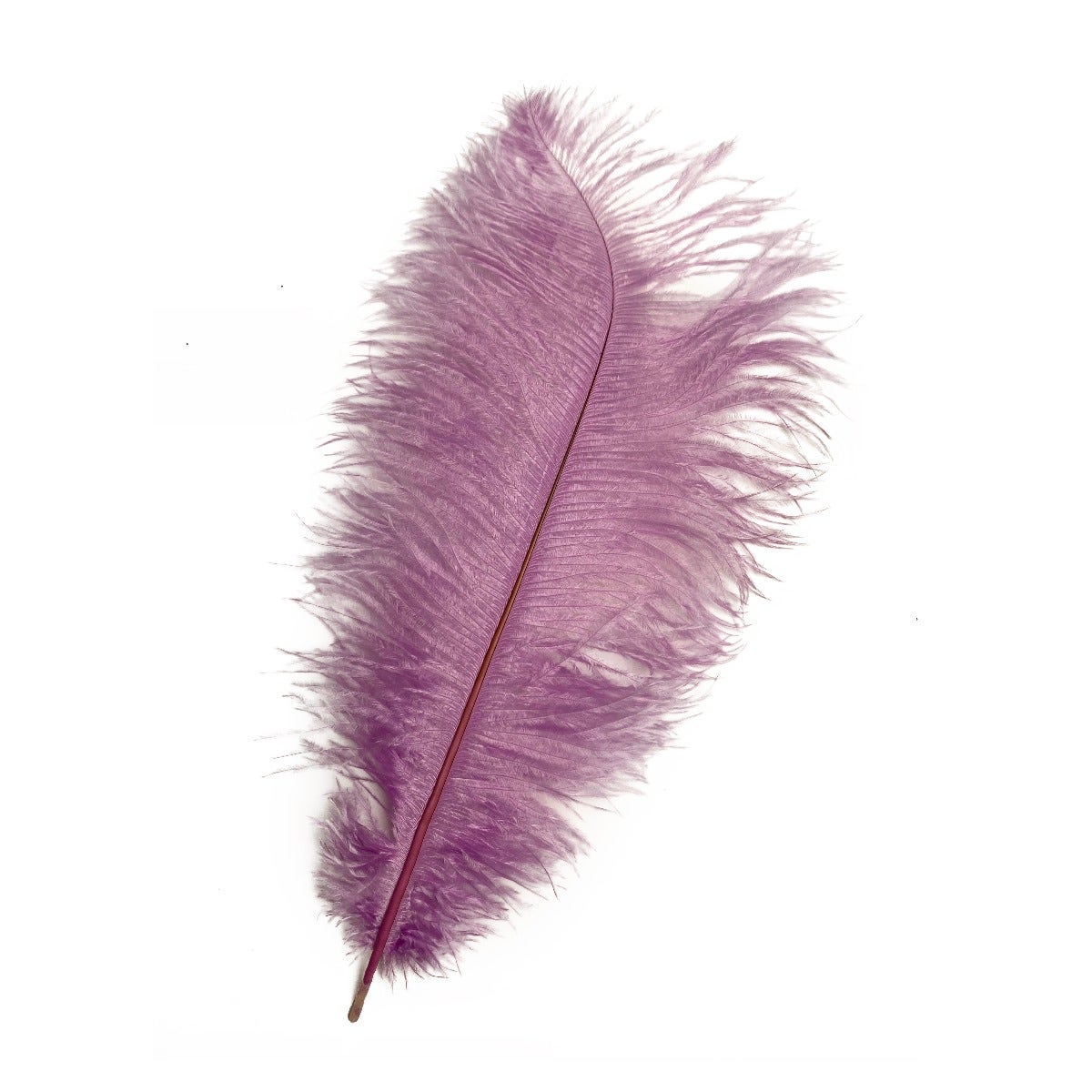 SWEET 'N SASSY FEATHER PEN KIT