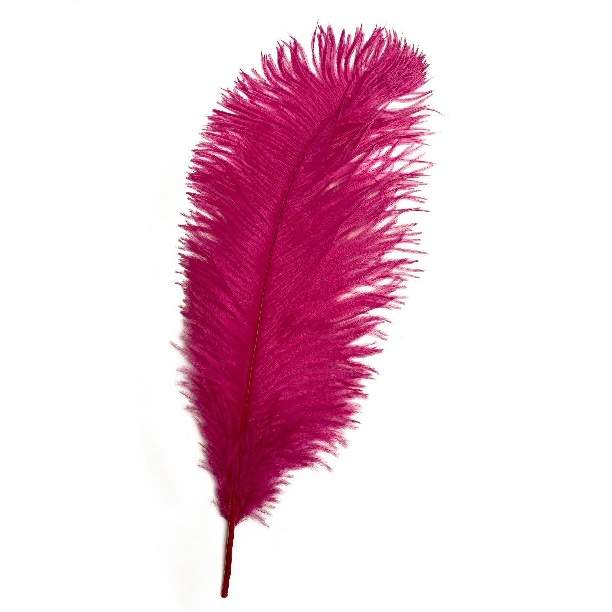 SWEET 'N SASSY FEATHER PEN KIT