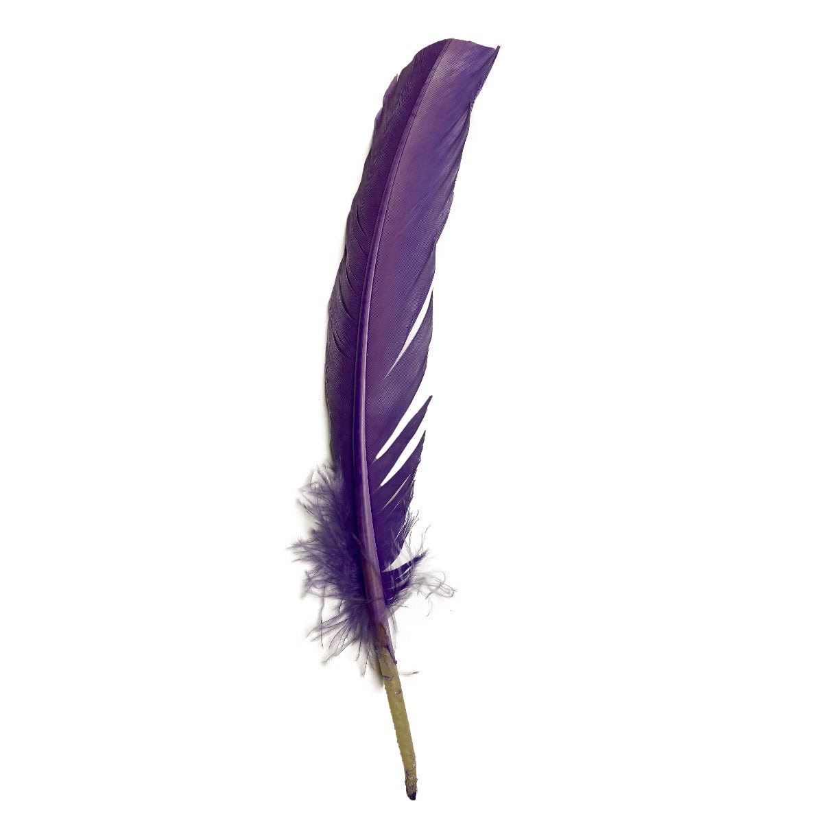 SWEET 'N SASSY FEATHER PEN KIT