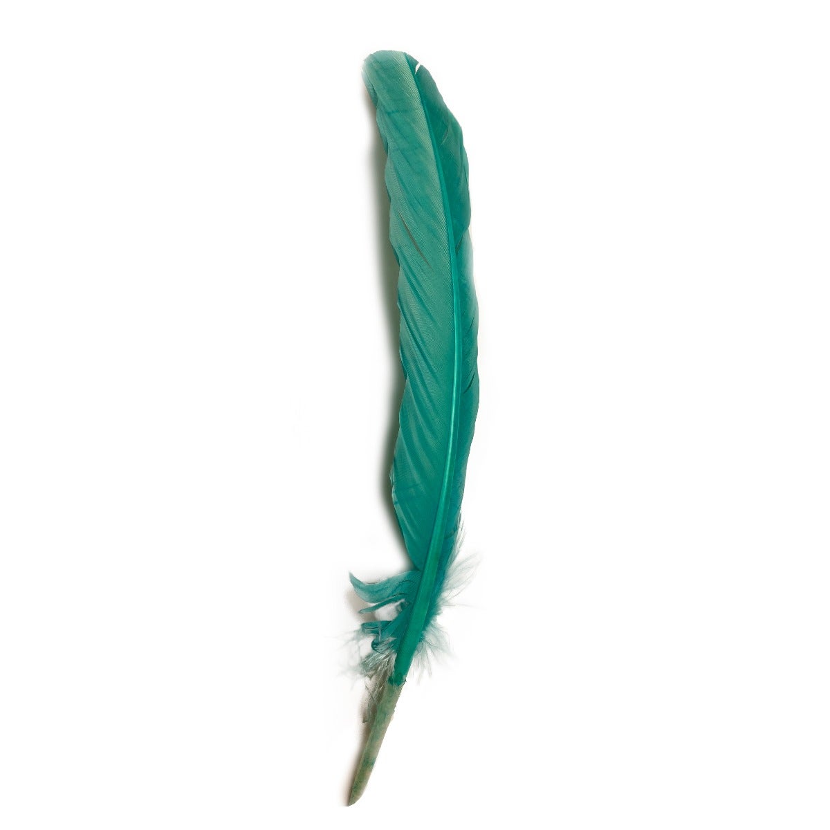 SWEET 'N SASSY FEATHER PEN KIT