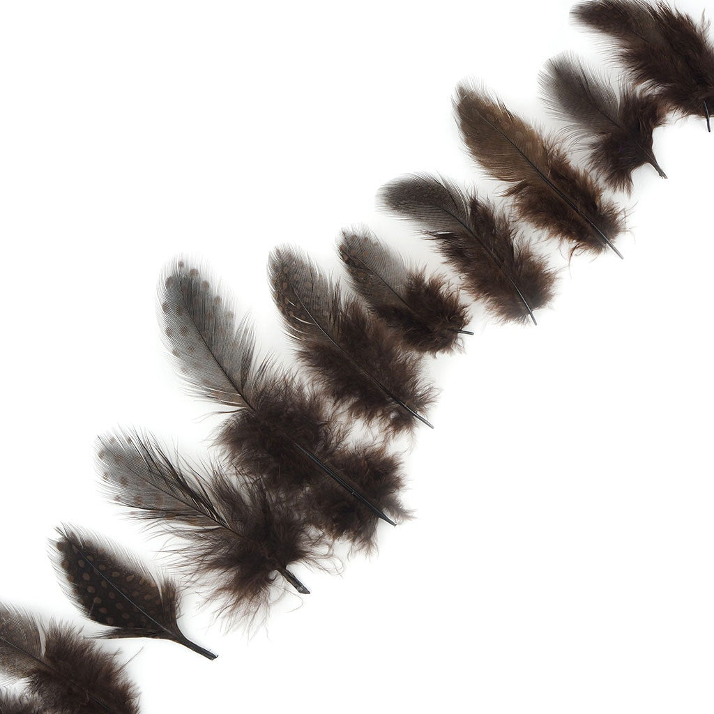 Bulk Guinea Hen Plumage - 1/4 lb - Brown