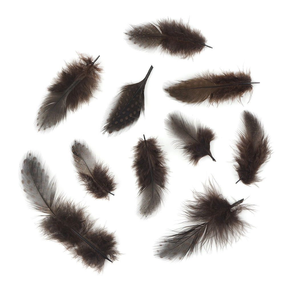 Bulk Guinea Hen Plumage - 1/4 lb - Brown