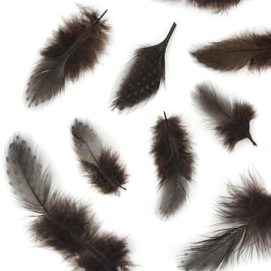 Bulk Guinea Hen Plumage - 1/4 lb - Brown