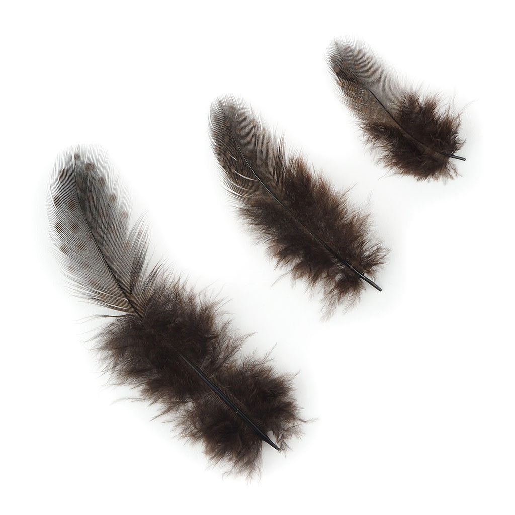 Bulk Guinea Hen Plumage - 1/4 lb - Brown