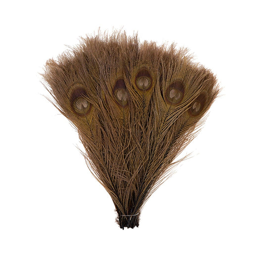 Peacock Tail Eyes Bleached and Dyed - 8-15” - 100 pc - Brown