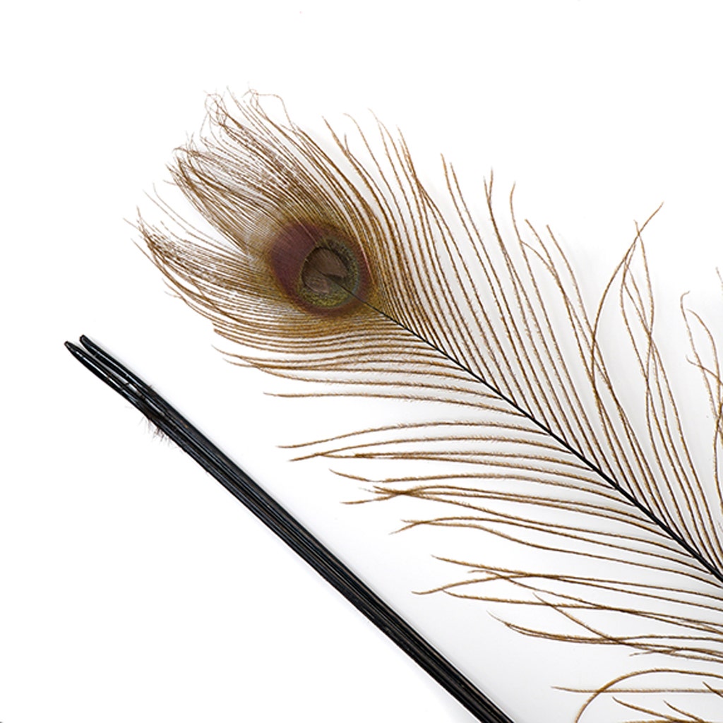 Peacock Tail Eyes Bleached Dyed - 25-40 Inch - 100 PCS - Brown