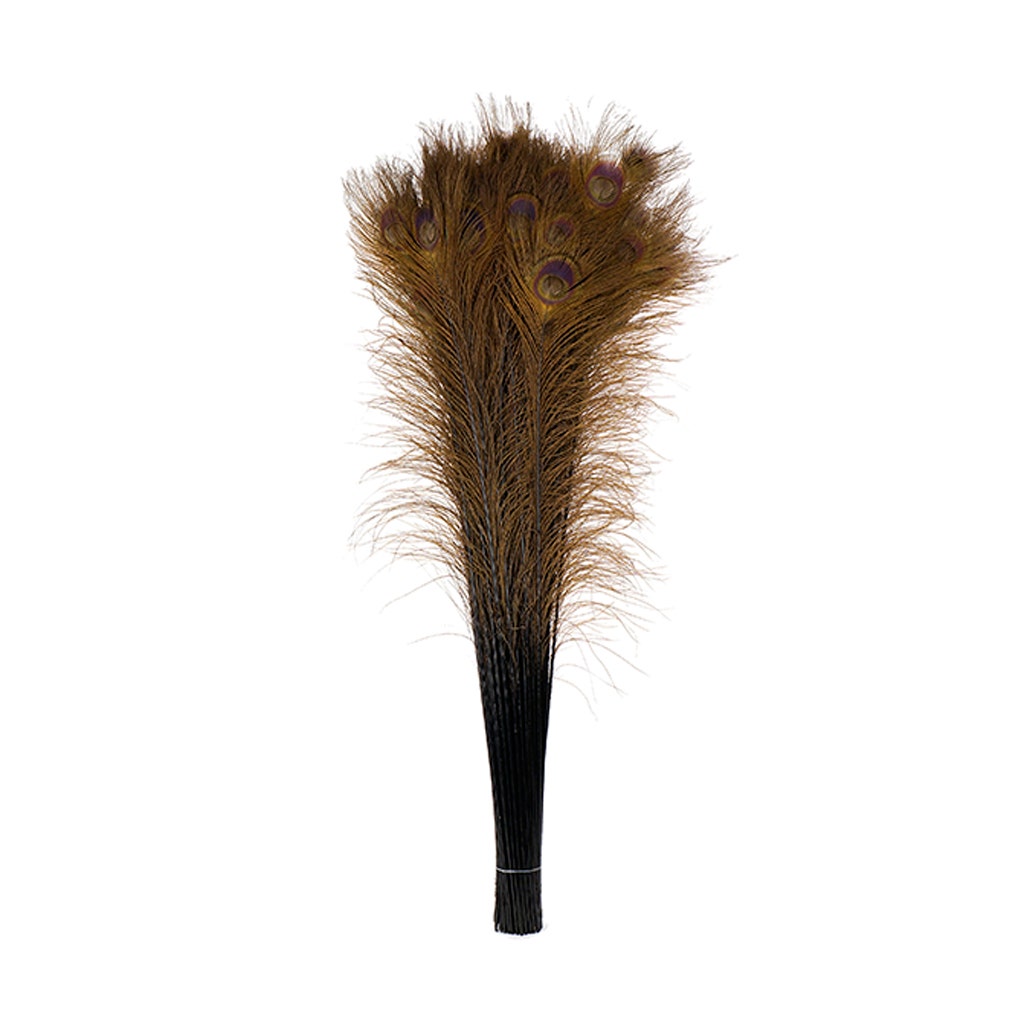 Peacock Tail Eyes Bleached Dyed - 25-40 Inch - 100 PCS - Brown