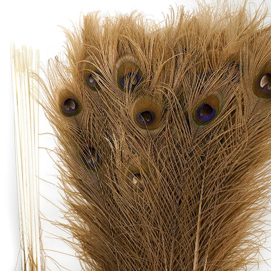 Peacock Tail Eyes Bleached Dyed - Golden Iridescent
