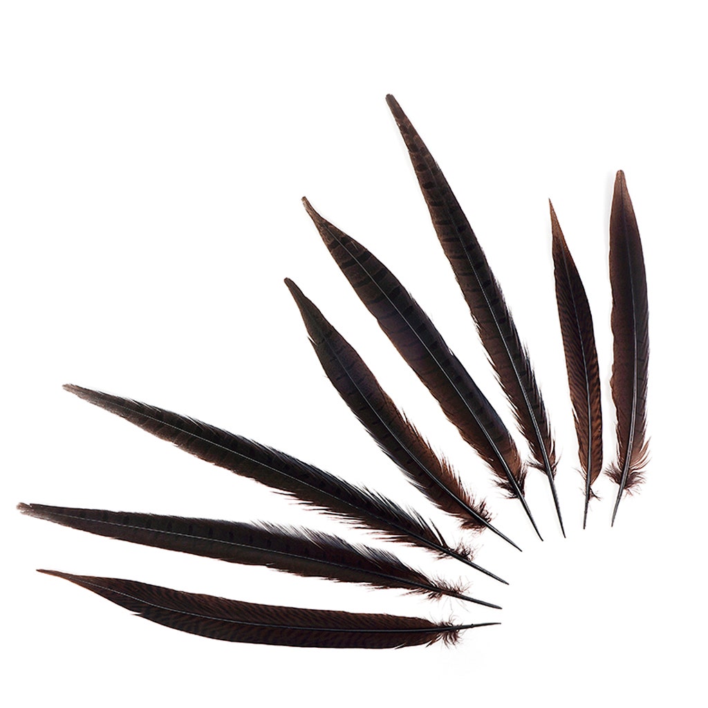 Assorted Pheasant Tails Dyed - Brown