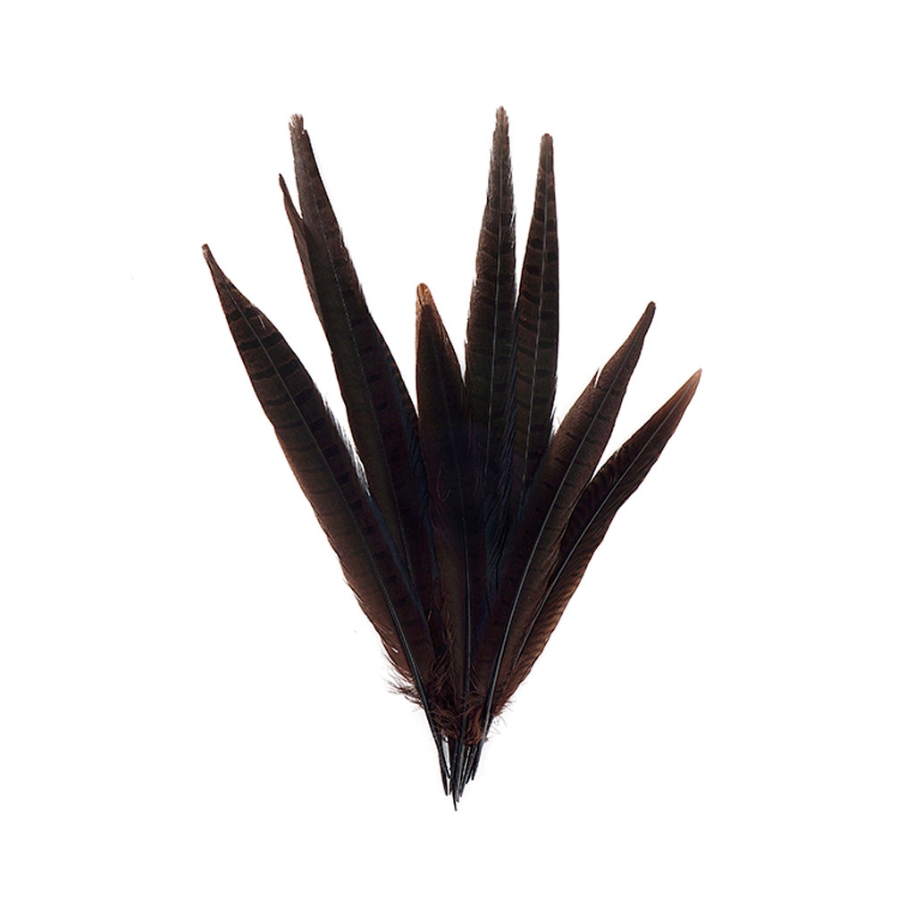 Assorted Pheasant Tails Dyed - Brown