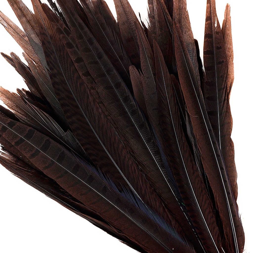 Assorted Pheasant Tails Dyed - Brown