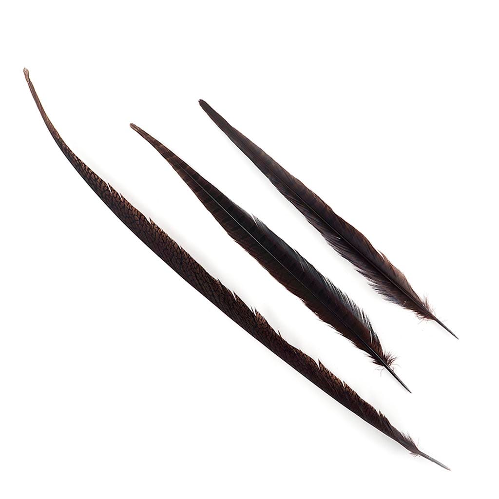 Assorted Pheasant Tails Dyed - Brown