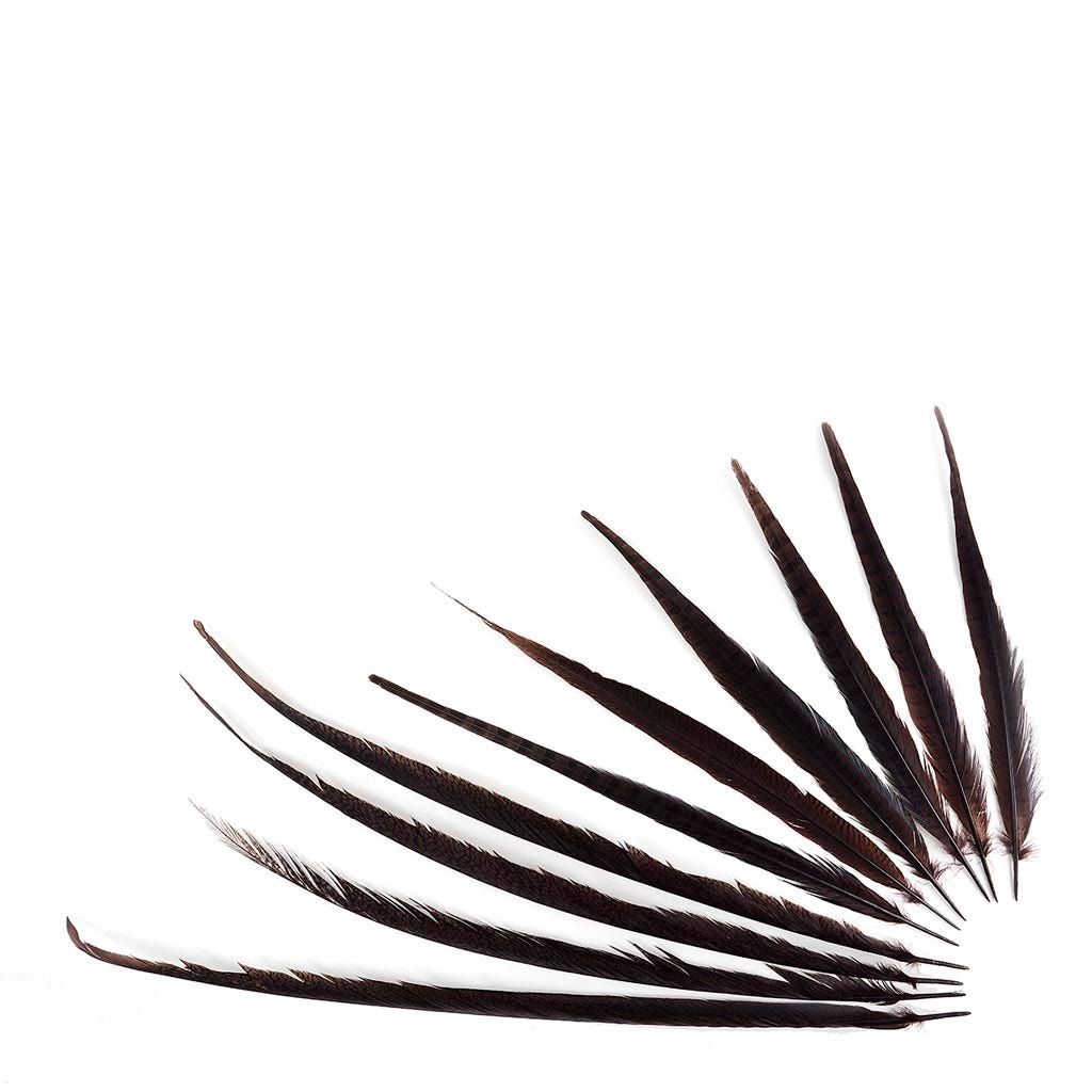 Pheasant Tails Assorted Bleached - Brown