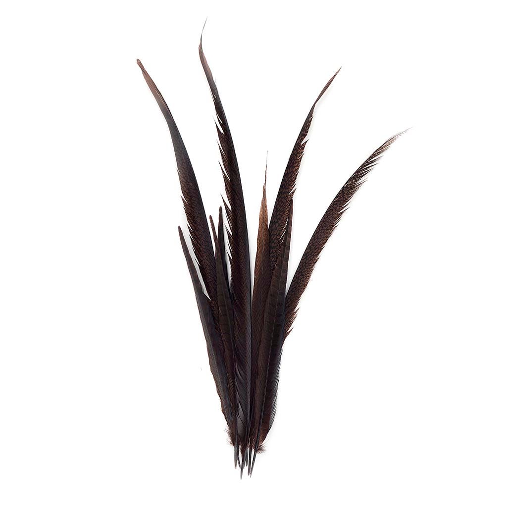 Pheasant Tails Assorted Bleached - Brown