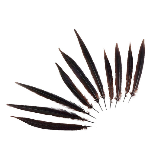 Pheasant Tails Assorted Bleached - Brown