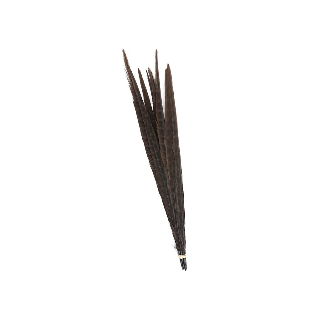Pheasant Tails Assorted Bleached - Brown