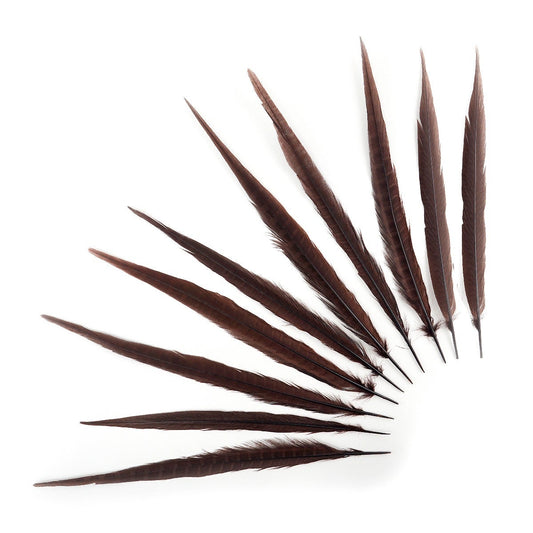 Pheasant Tails Assorted Bleached - Brown