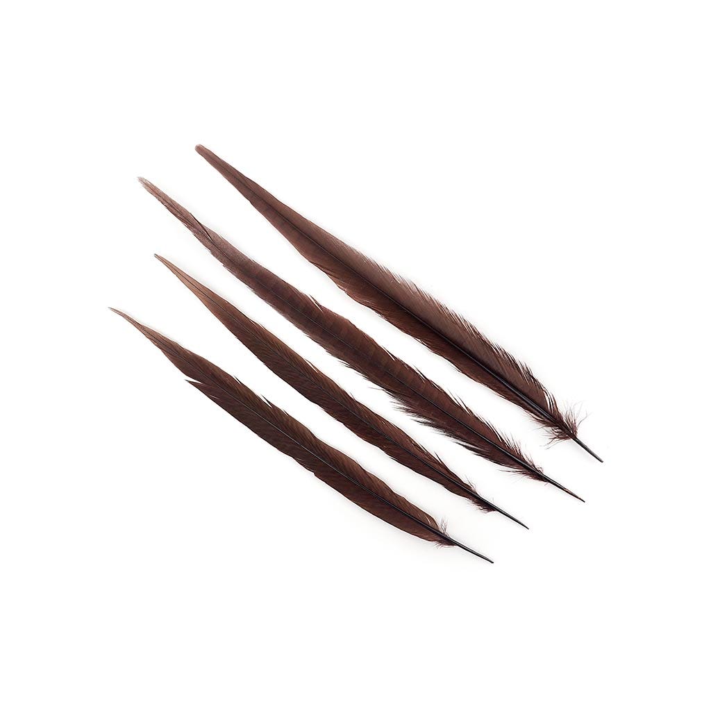 Pheasant Tails Assorted Bleached - Brown