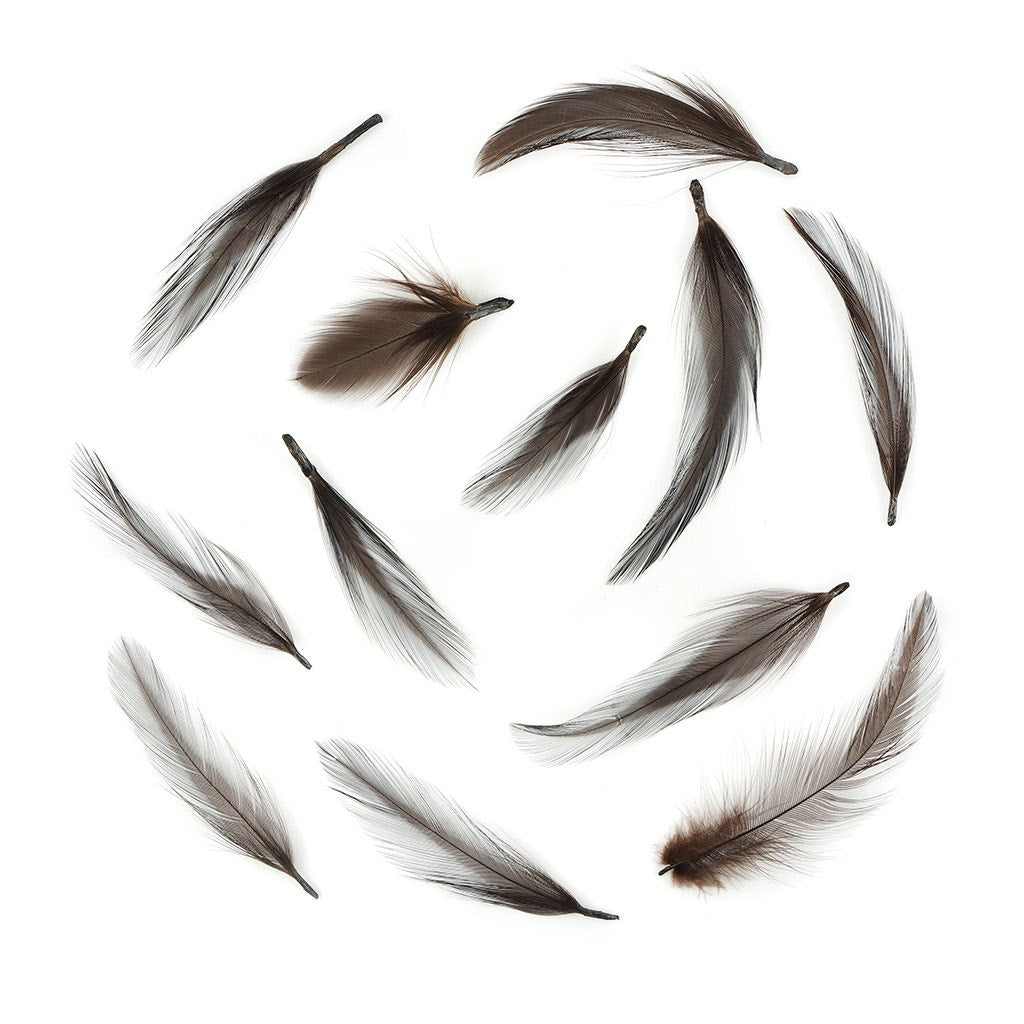 Rooster Hackle-Dyed - Brown