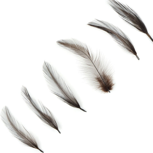 Rooster Hackle-Dyed - Brown