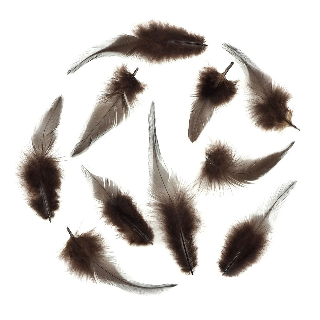 Rooster Saddles-White-Dyed - Brown