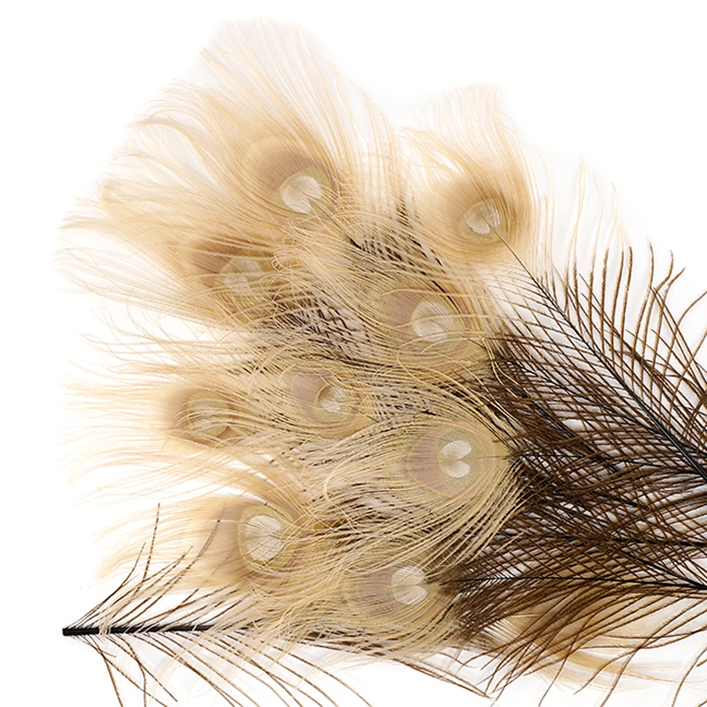 Peacock Tail Eyes Bleached and Dyed - 8-15” - 100 pc - Brown/Eggshell - 8 -15"