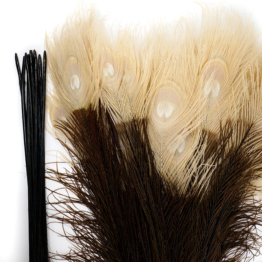 Peacock Tail Eyes Tipped - Brown/Eggshell - 25 -40"