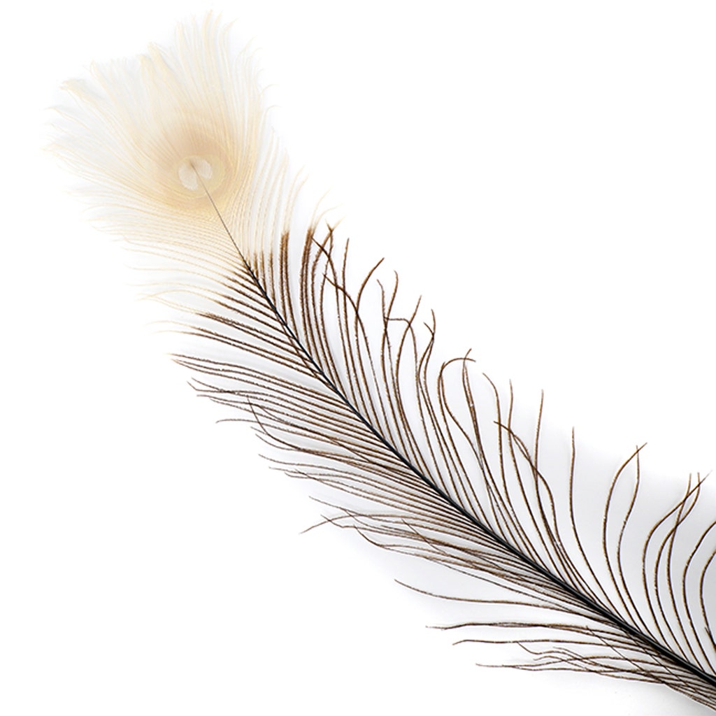 Peacock Tail Eyes Tipped - Brown/Eggshell - 25 -40"