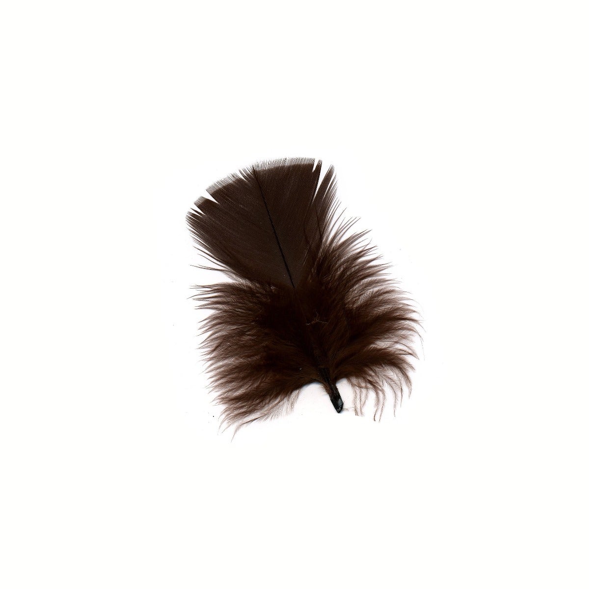 TURKEY PLUMAGE MIX DYED - BROWN