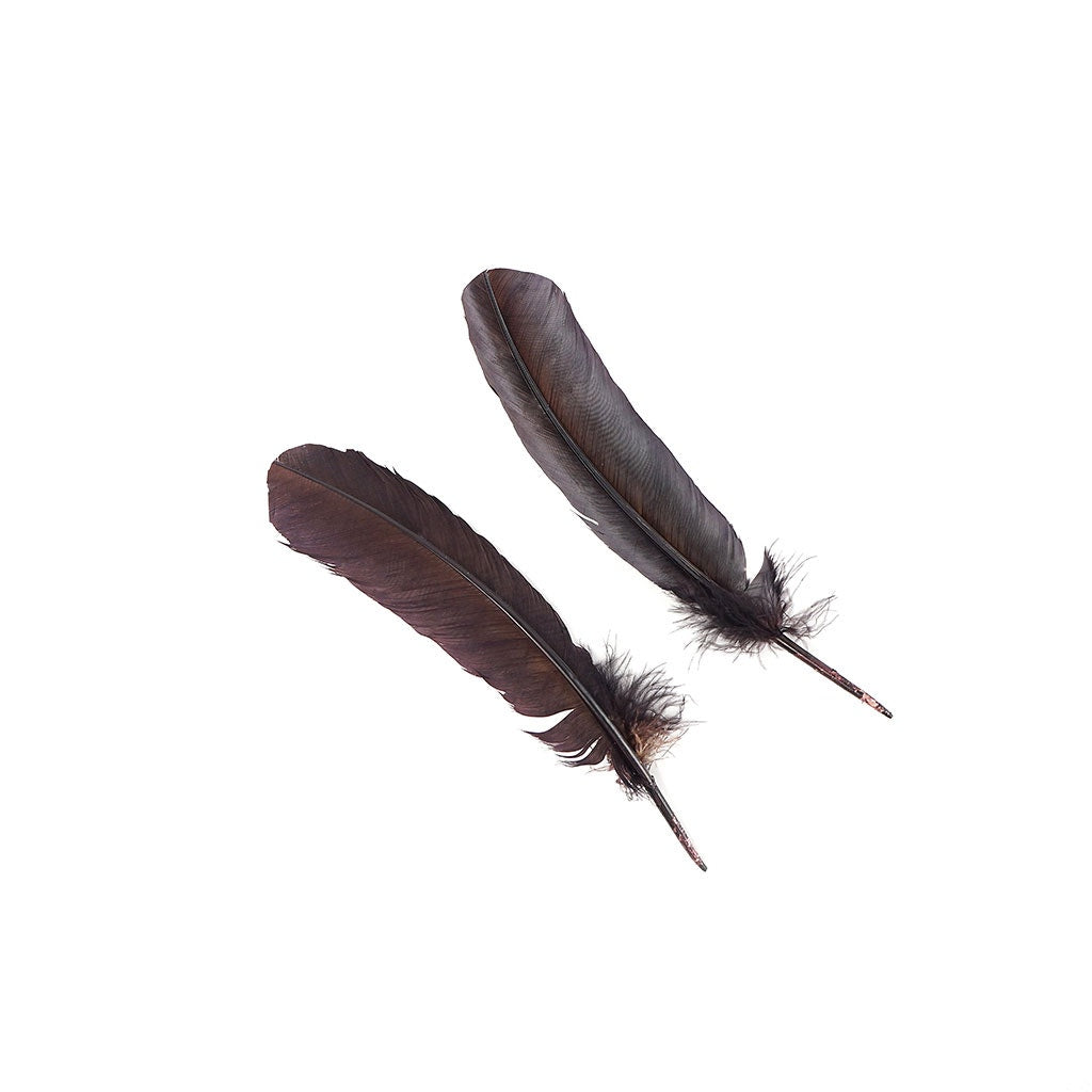 Turkey Quills Dyed Feathers - Brown