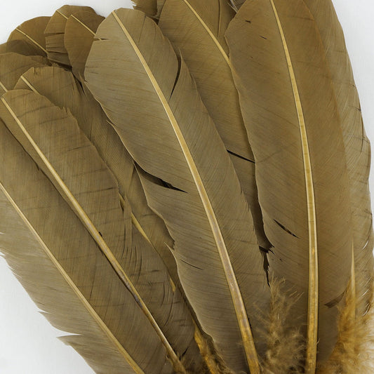 Turkey Quills Dyed Feathers - Camel