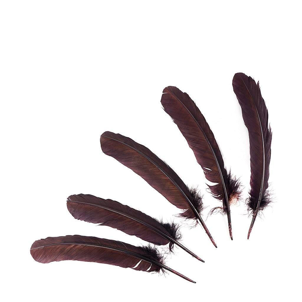 Turkey Quills Selected - Brown