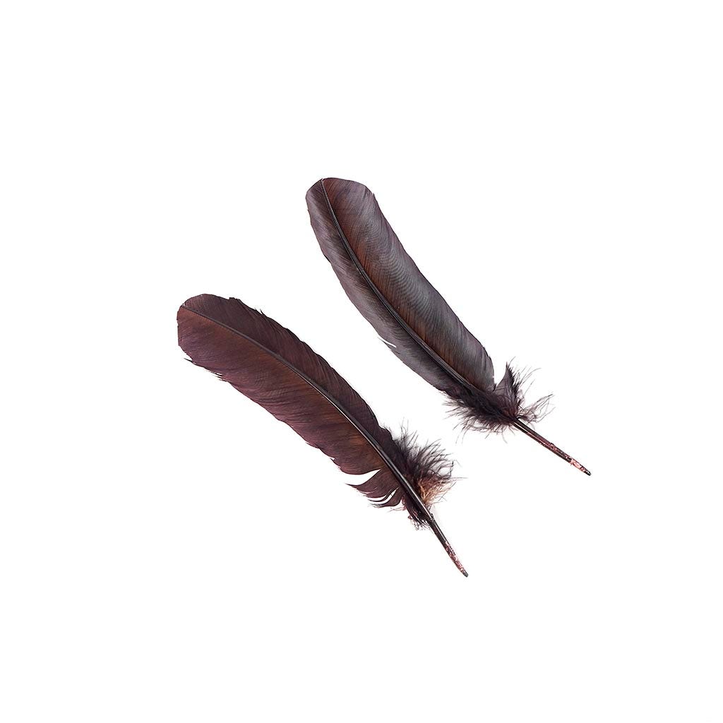 Turkey Quills Selected - Brown