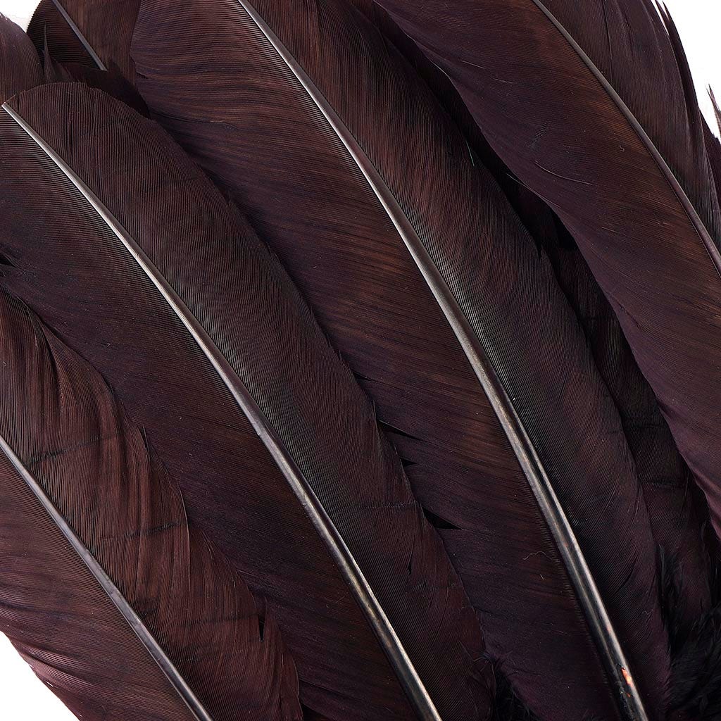 Turkey Quills Selected - Brown