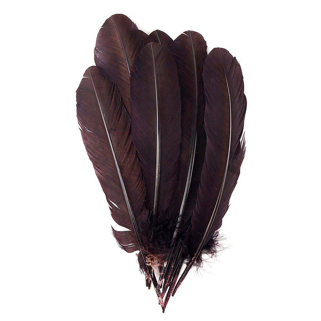 Turkey Quills Selected - Brown