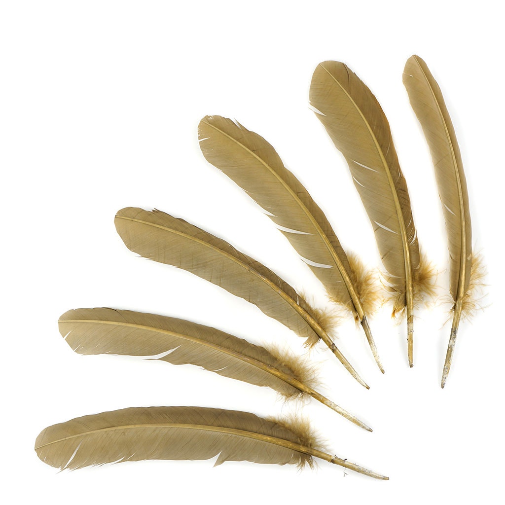 Turkey Quills Selected Camel
