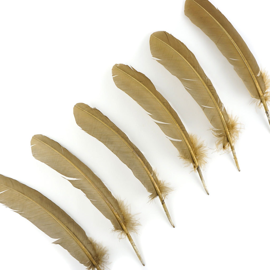 Turkey Quills Selected Camel