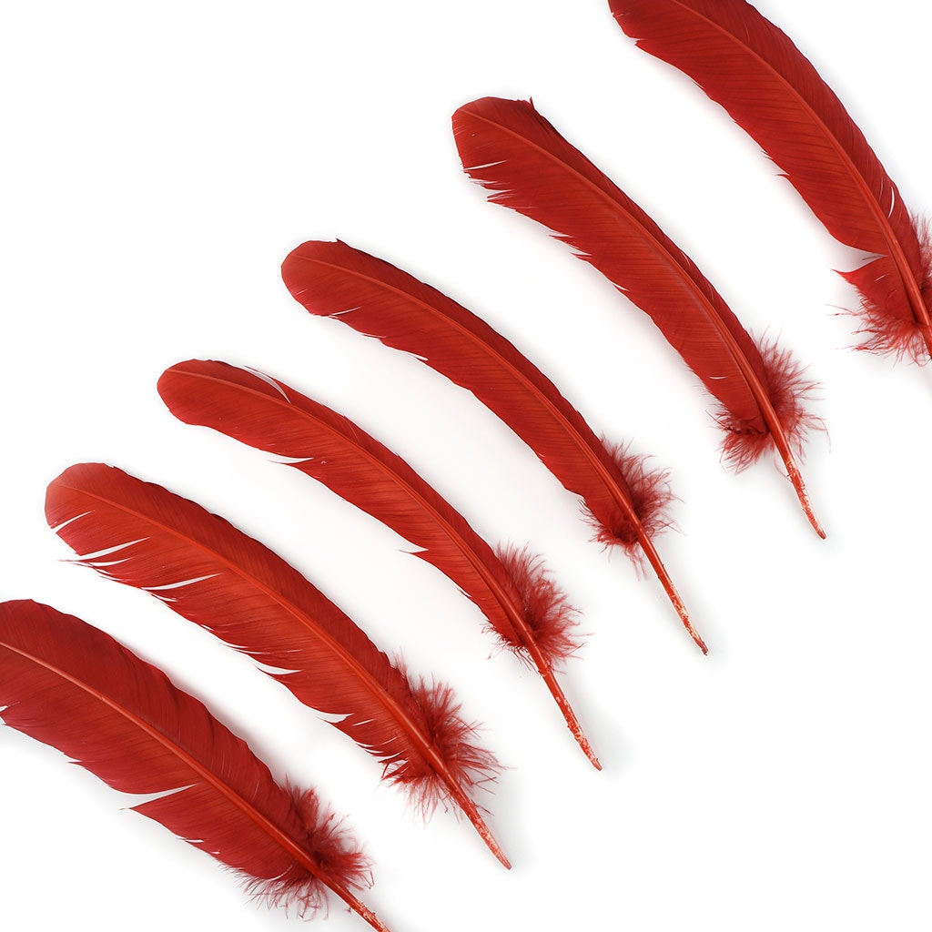Turkey Quills Selected Rust