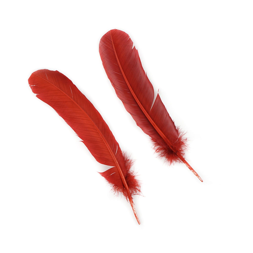 Turkey Quills Selected Rust