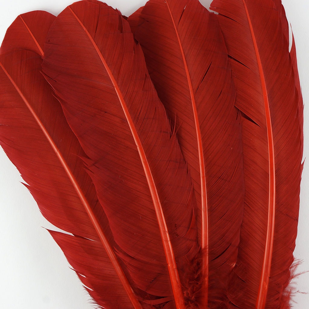 Turkey Quills Selected Rust