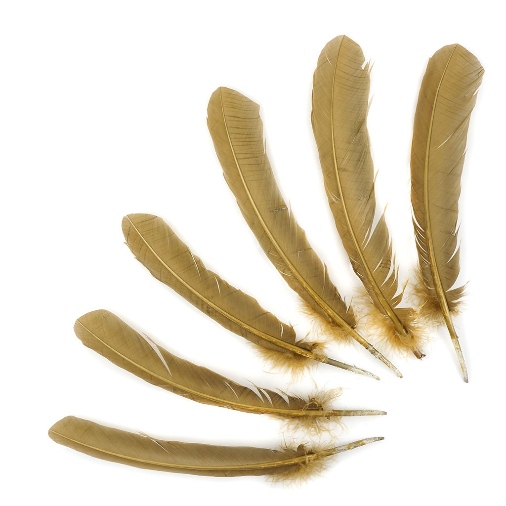 Turkey Quills Selected Camel