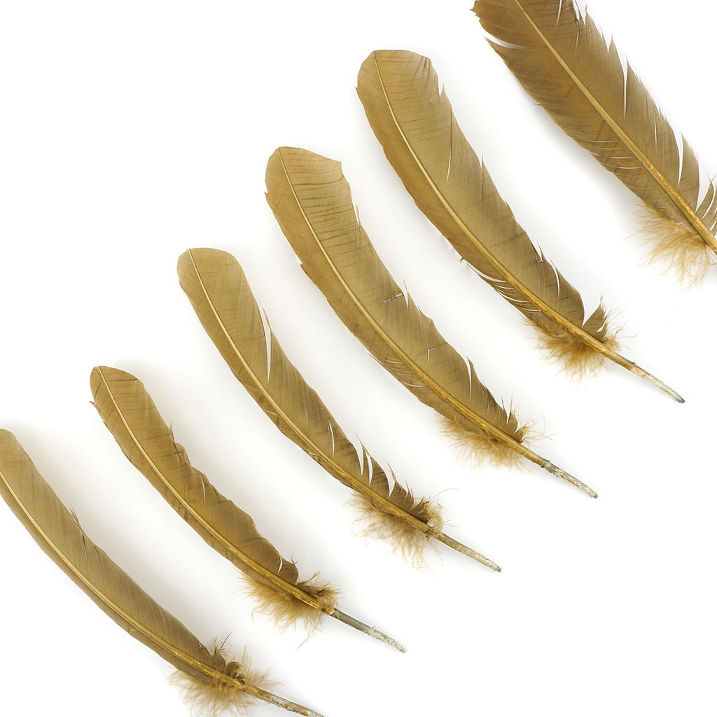 Turkey Quills Selected Camel