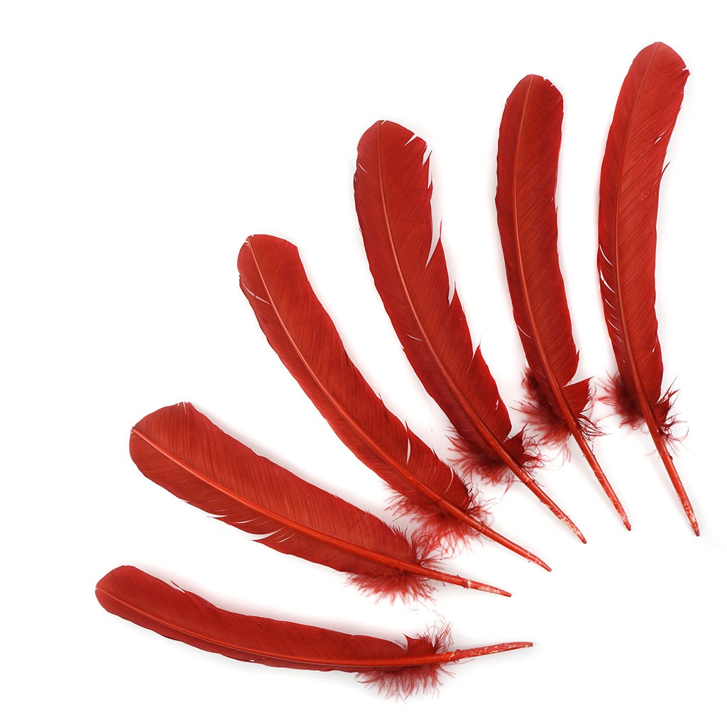 Turkey Quills Selected Rust