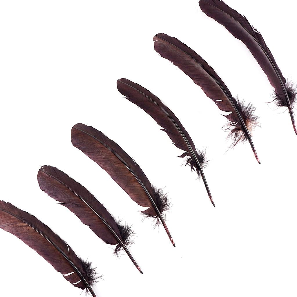Turkey Quills by Pound - Left Wing - Brown