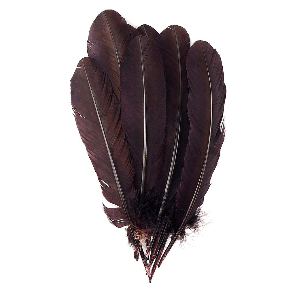 Turkey Quills by Pound - Left Wing - Brown