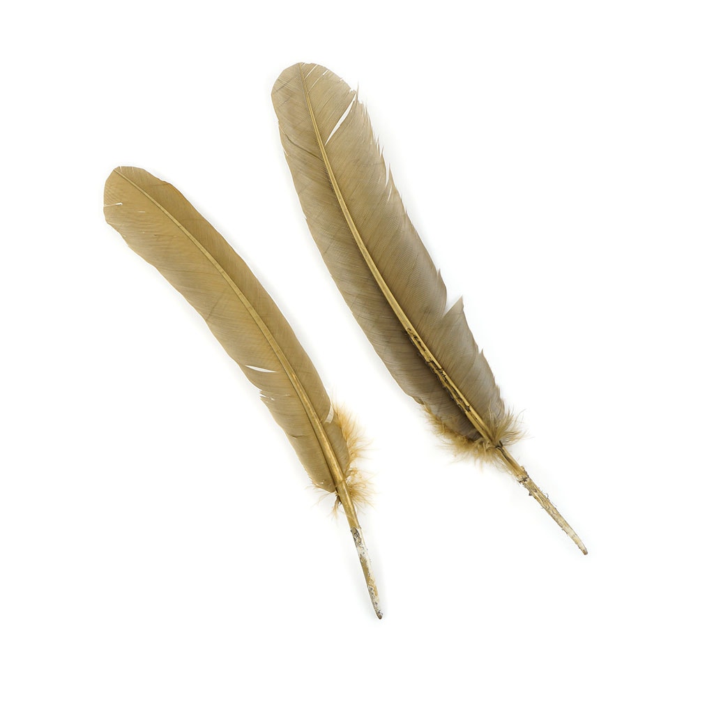 Turkey Quills by Pound - Left Wing - Camel