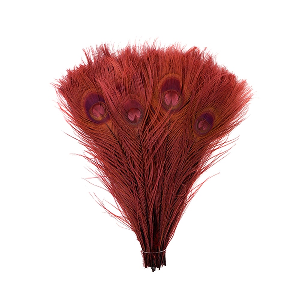 Peacock Tail Eyes Bleached and Dyed - 8-15” - 100 pc - Burgundy